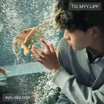 毛易桑